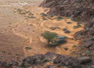 DSC_6098-as-Smart-Object-1c_4W