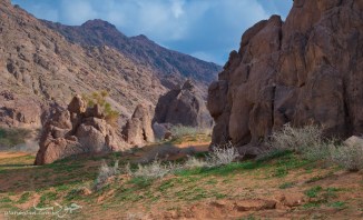 Untitled_Panorama1_c_4W